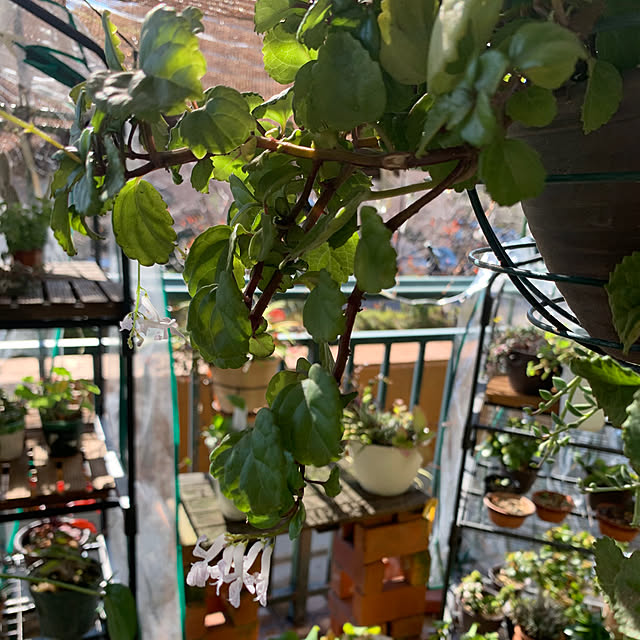 Aqettyさんの部屋