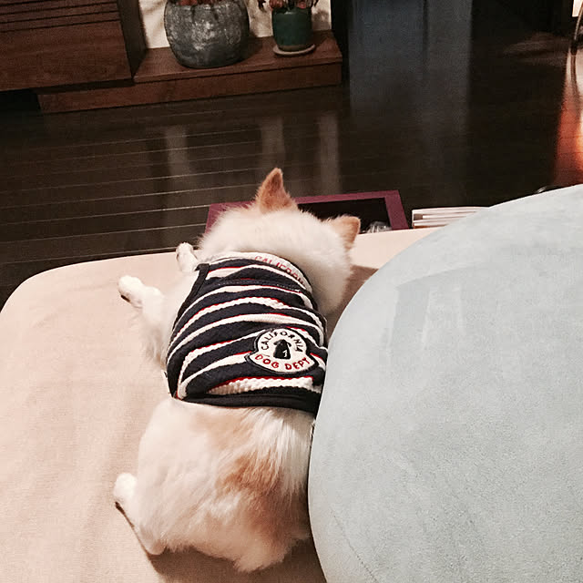 chapiさんの実例写真