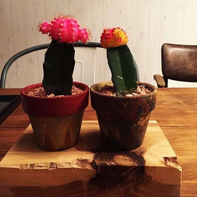 Yukieさんの実例写真