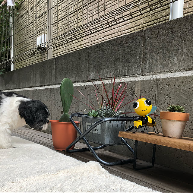 tenmaruさんの実例写真