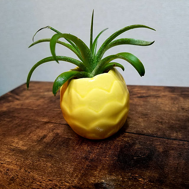SHINさんの実例写真