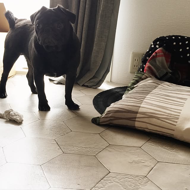BOSS__Rinさんの実例写真