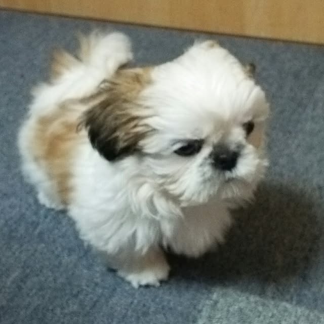 Reiさんの実例写真