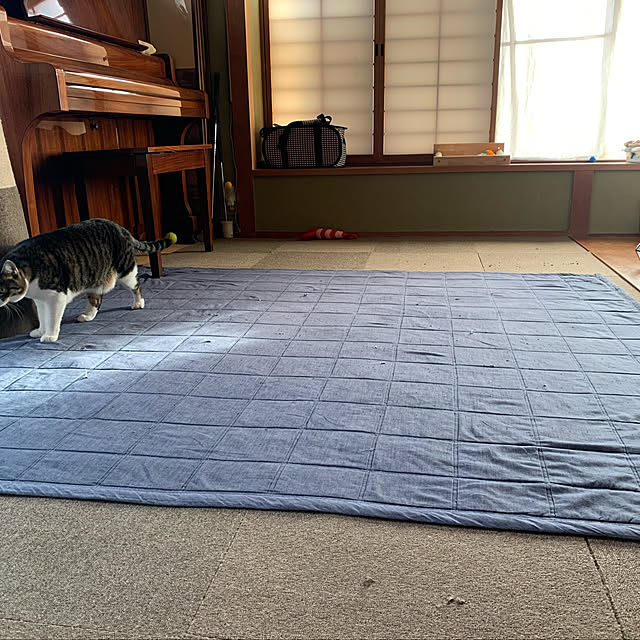 nanohanaさんの実例写真