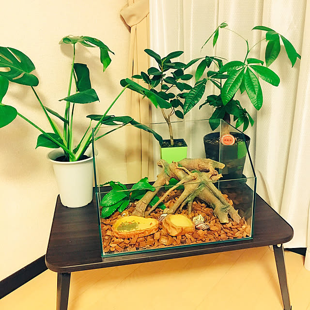 sunaさんの実例写真
