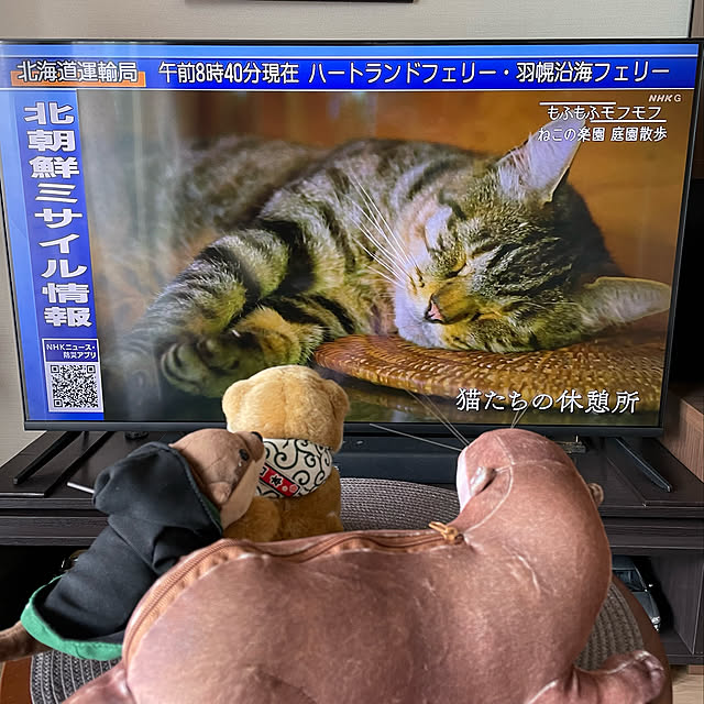 aureaさんの実例写真