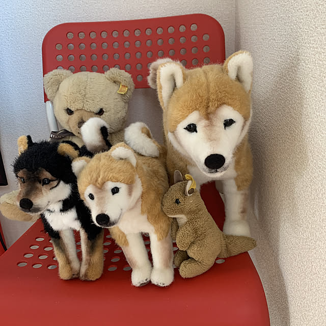 danrikuさんの実例写真