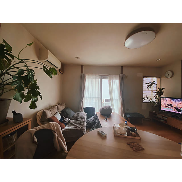 実例写真