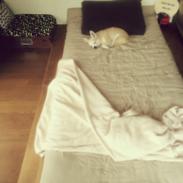 88さんの実例写真