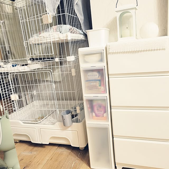 akimameさんの部屋