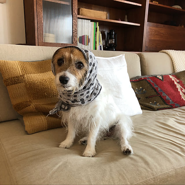 toto.ikさんの実例写真