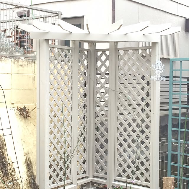 amiさんの実例写真