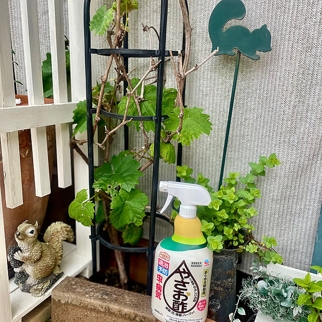 Ma-saさんの実例写真