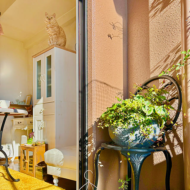 naokoさんの部屋