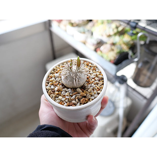 w_end_0625さんの部屋