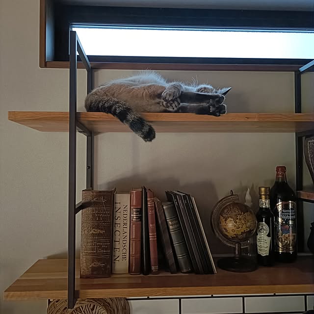 Atelier_tamakiさんの部屋