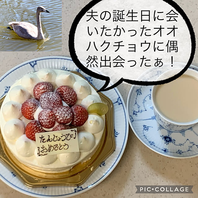 mizucchiさんの実例写真