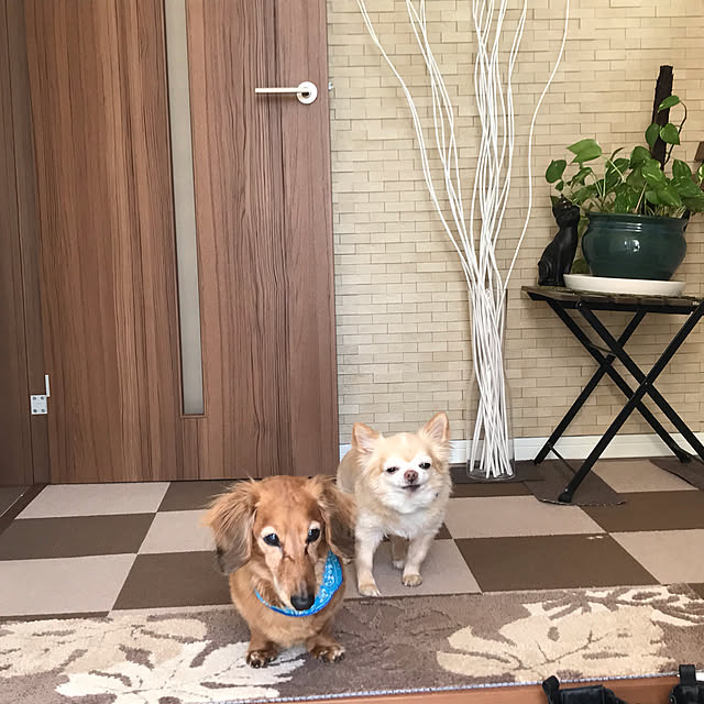 MIUさんの実例写真