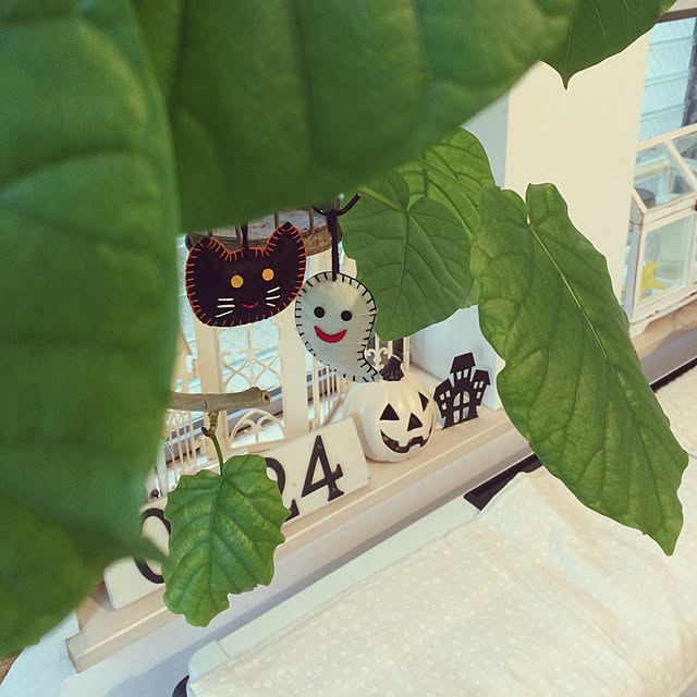 lovehome0224さんの実例写真