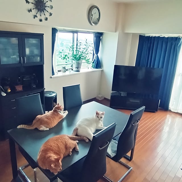 NOAHさんの実例写真