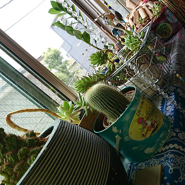 denkoさんの実例写真