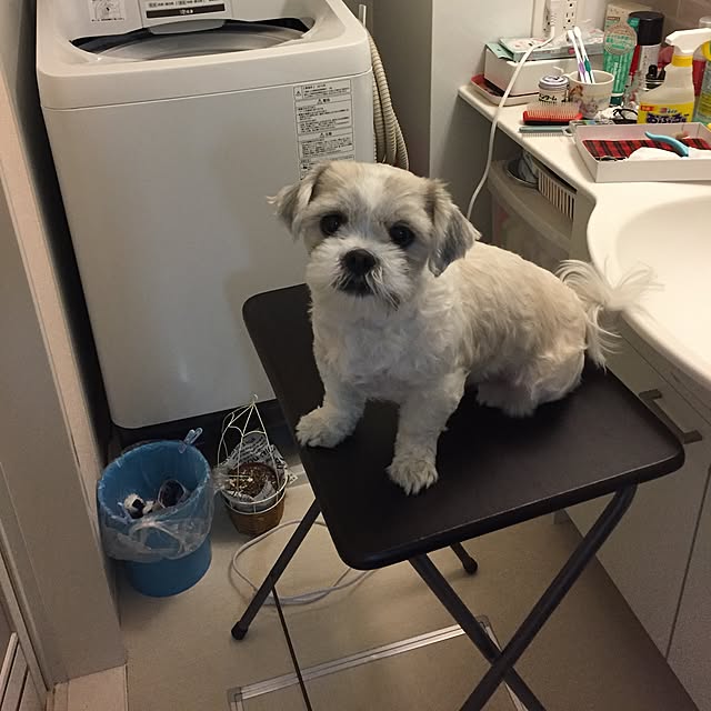 emiさんの実例写真