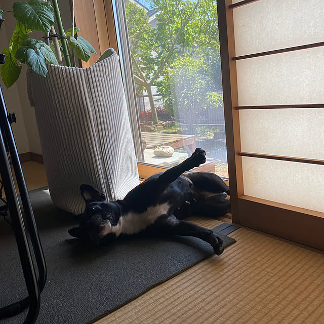 kotaroさんの実例写真
