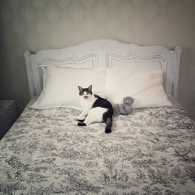 yuchiさんの実例写真