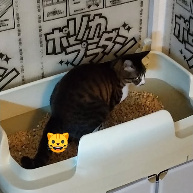 yuk.さんの実例写真