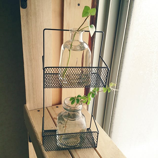 miporin0711さんの実例写真