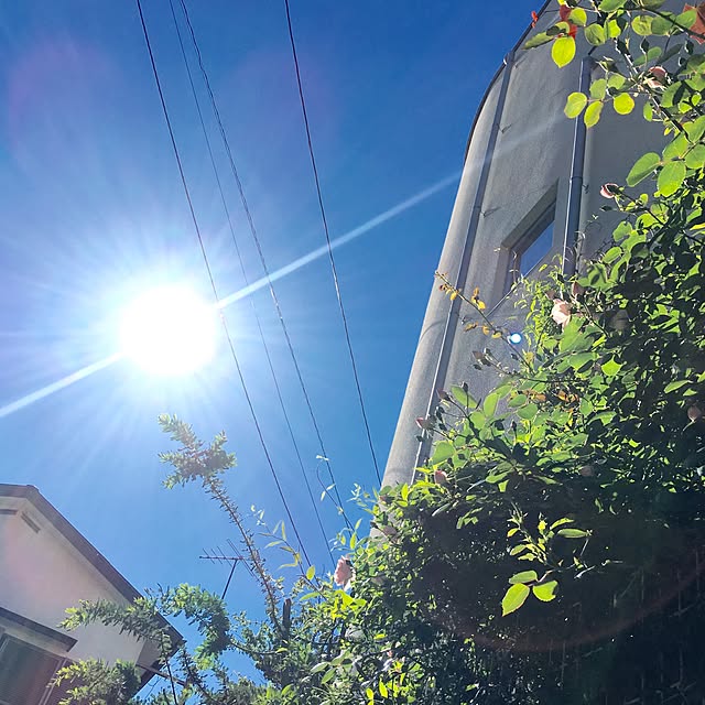 mamaintokyoさんの実例写真