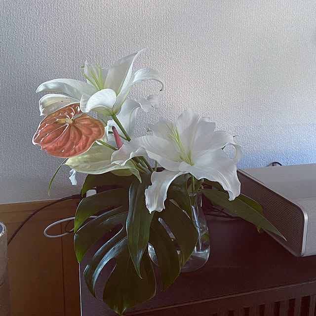 nocomomさんの部屋