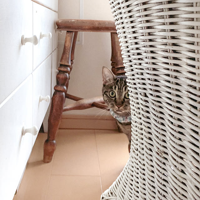 oliveさんの実例写真