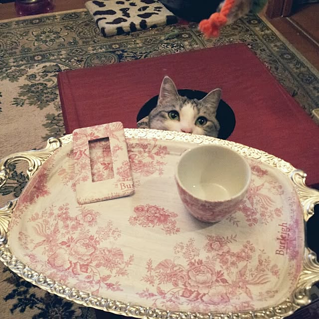 emmyyさんの実例写真