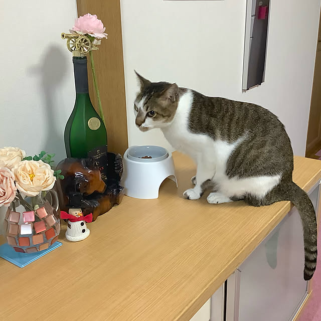 haruminさんの実例写真