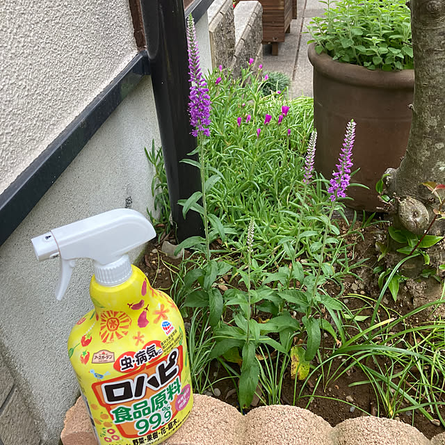 mamimamiさんの部屋