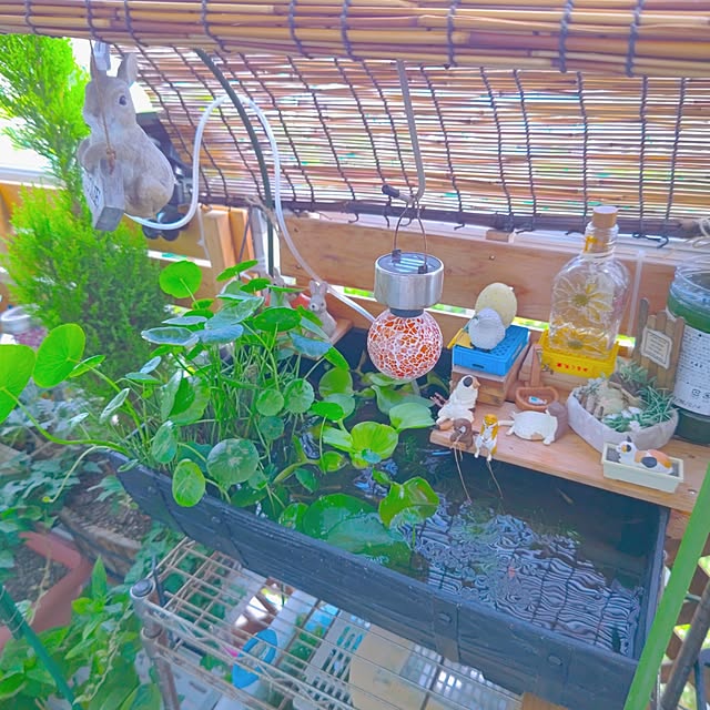 mariaさんの部屋