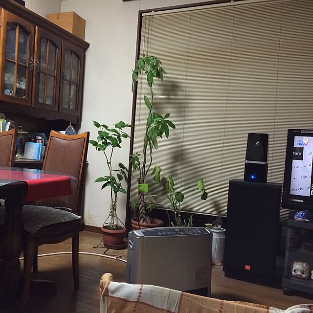 mic23さんの実例写真