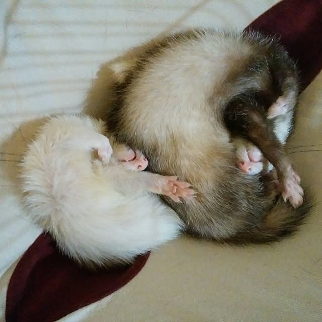 an89さんの実例写真