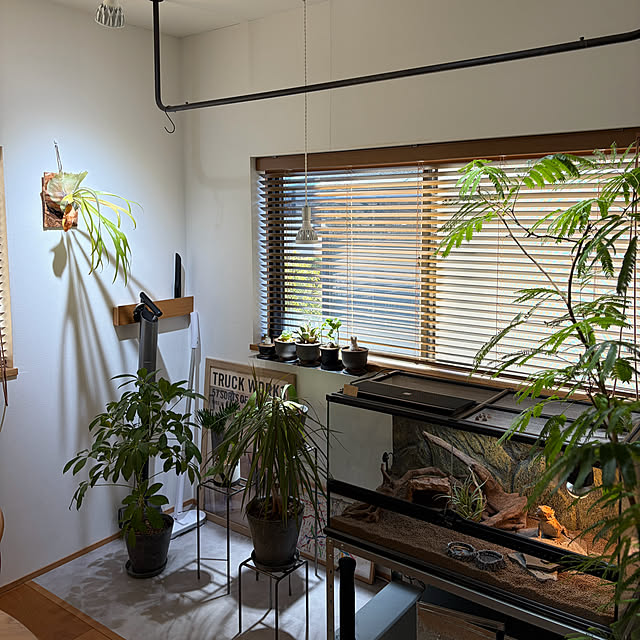 shirokumaさんの実例写真