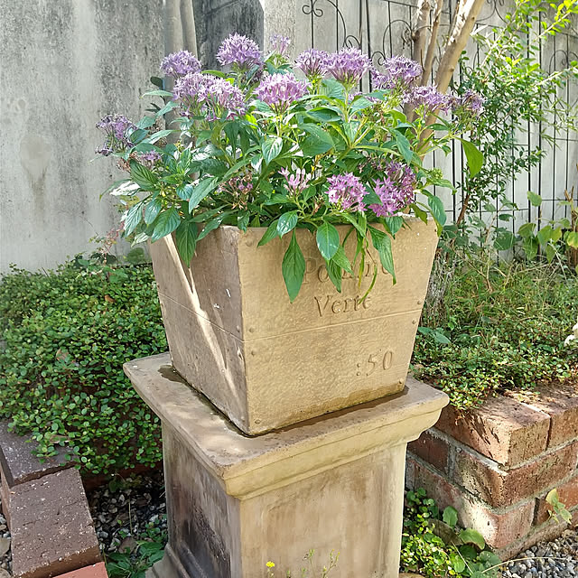 Rさんの実例写真