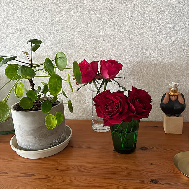 amber1118さんの実例写真