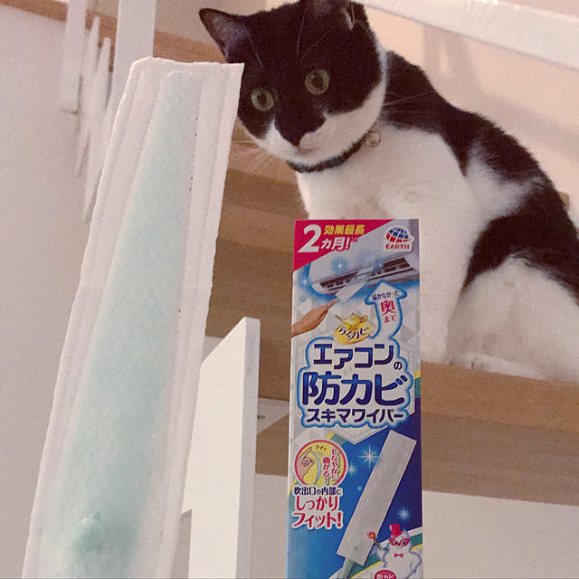 Yさんの実例写真