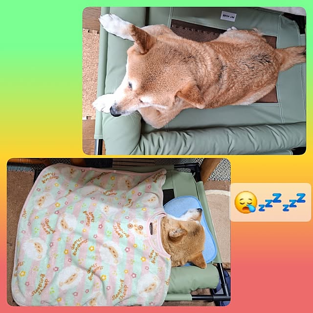 nanaさんの実例写真