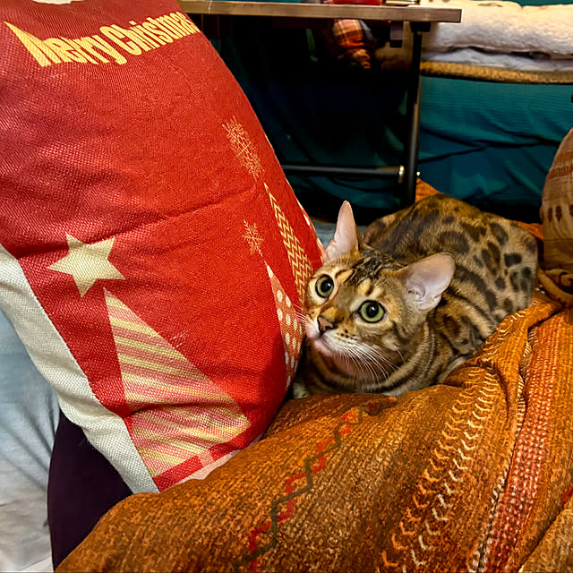 tututu0204さんの部屋