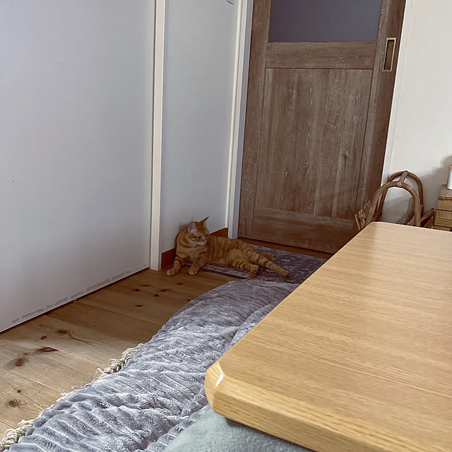 takakoさんの実例写真