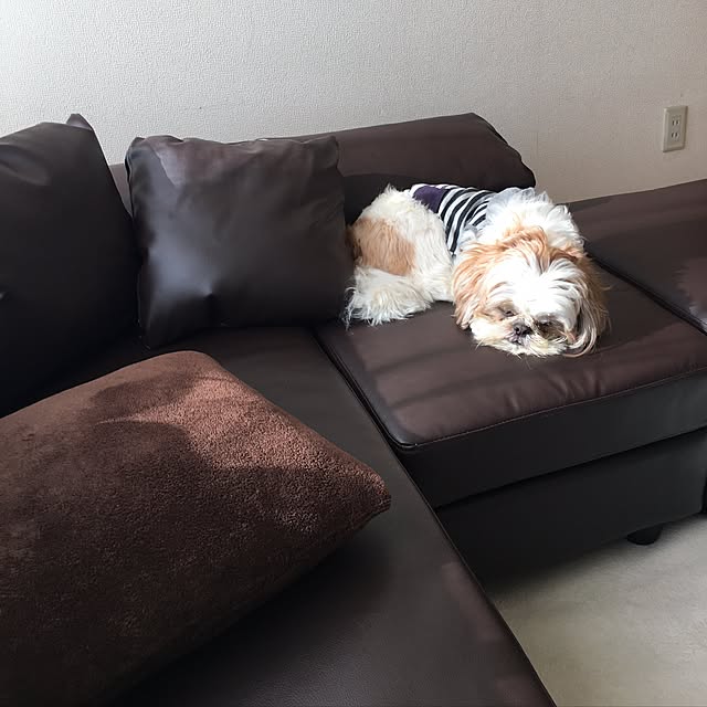 my_homeさんの実例写真