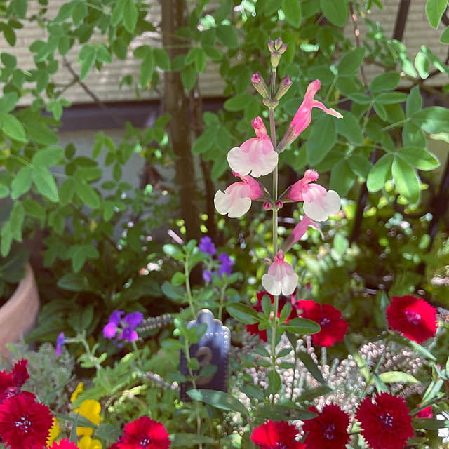 min_nimさんの実例写真