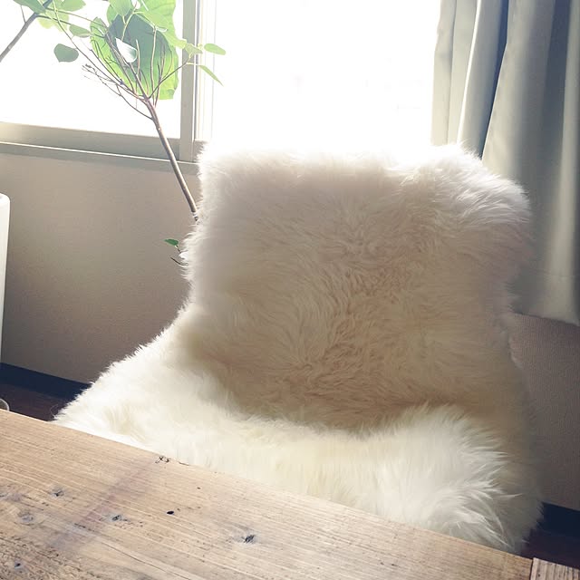 chocolatさんの実例写真