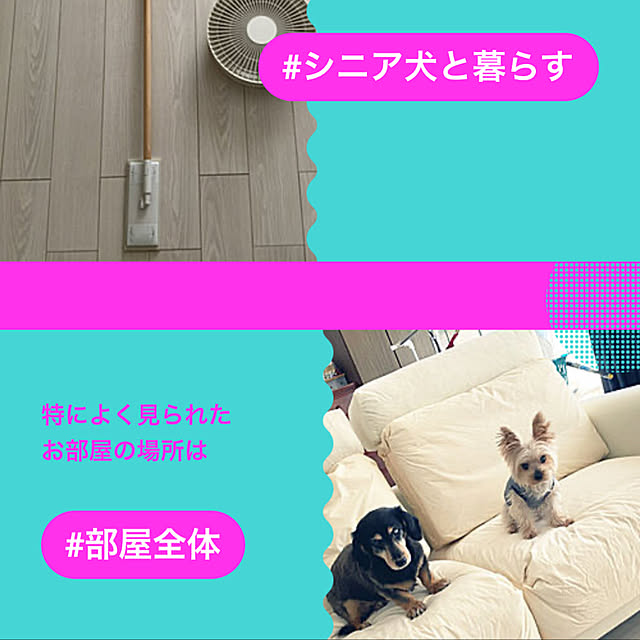 ohanaさんの実例写真